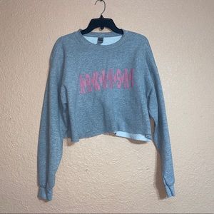 ARKANSAS CROPPED SWEATER - no stains or holes